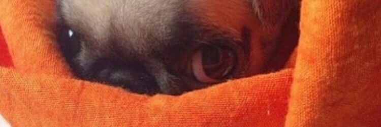 itsnotfun92's profile banner image