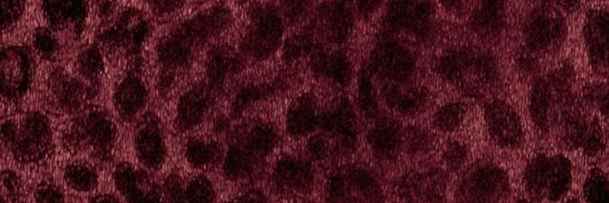 এ banner