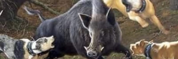 westsideronin Profile Banner