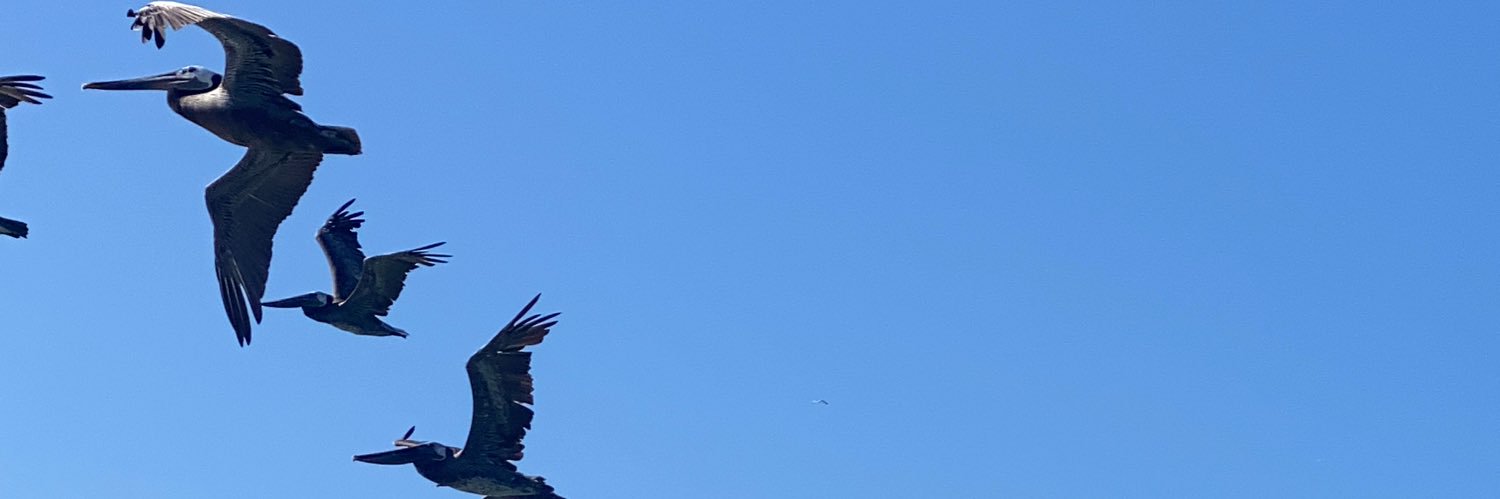 BarrTeey's profile banner image