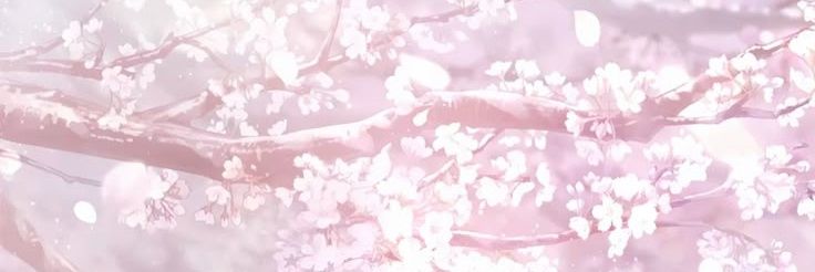 bunniiall's profile banner image