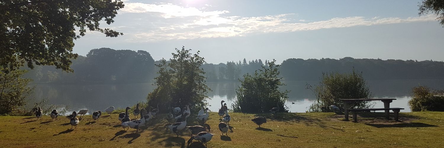 jadeaydinovic's profile banner image