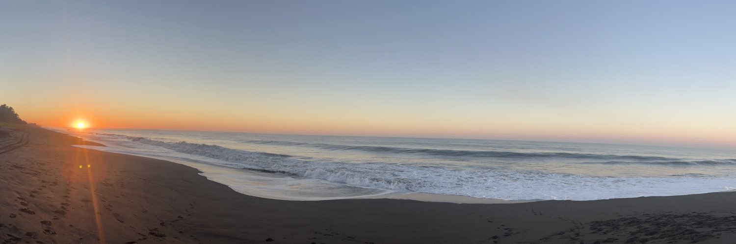 Rosemonck's profile banner image