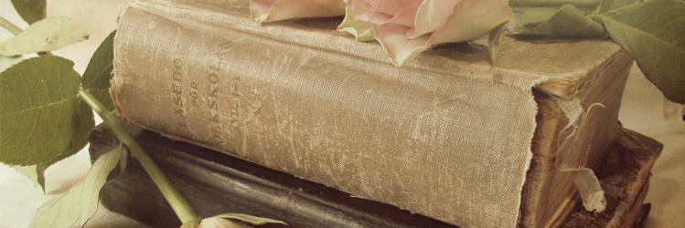 Tschincari's profile banner image