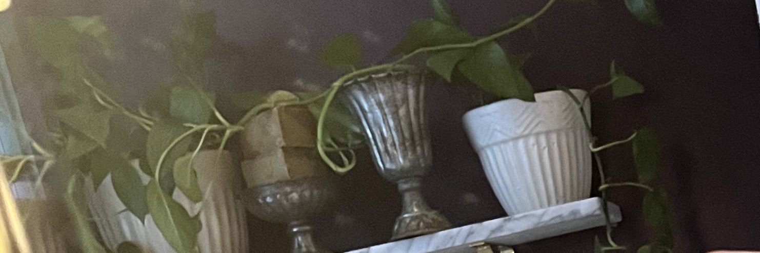 PurpleNakia's profile banner image