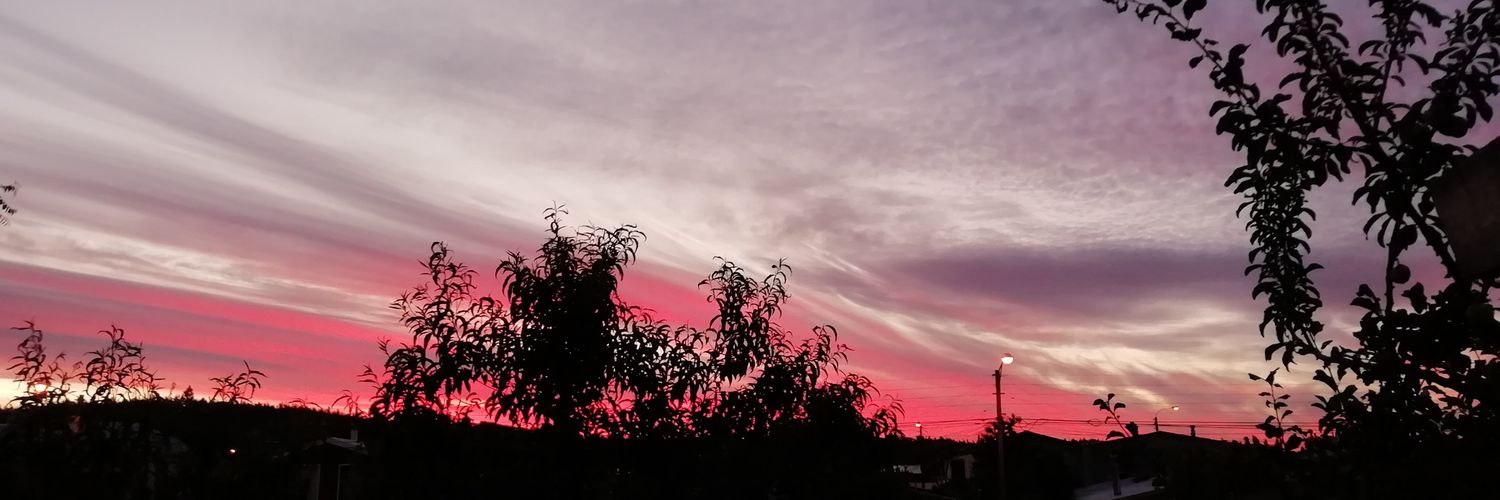 Dani_Negas's profile banner image