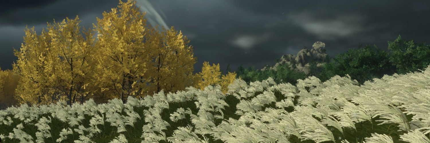 Meiad🍊 banner