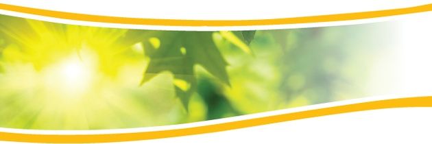 reealeido's profile banner image