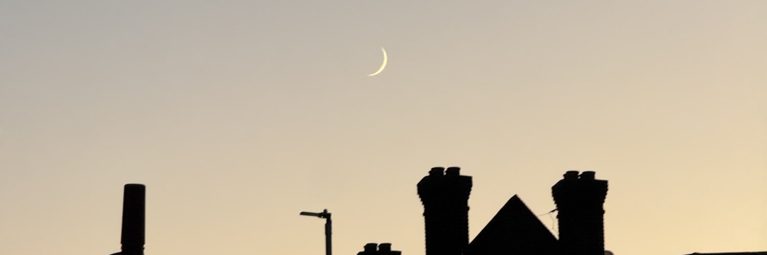 S banner
