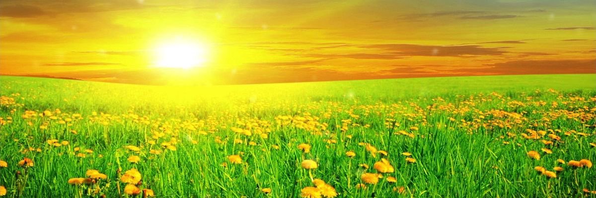 Adaeze Evelyn Ubah banner