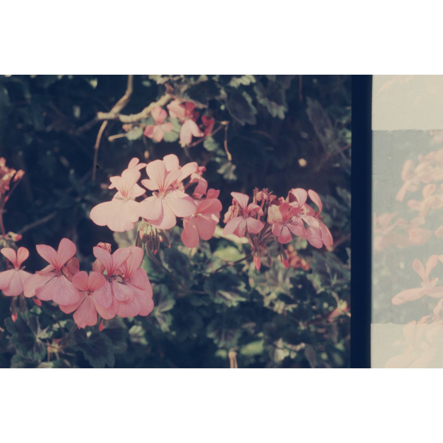 Zoë Butler. banner