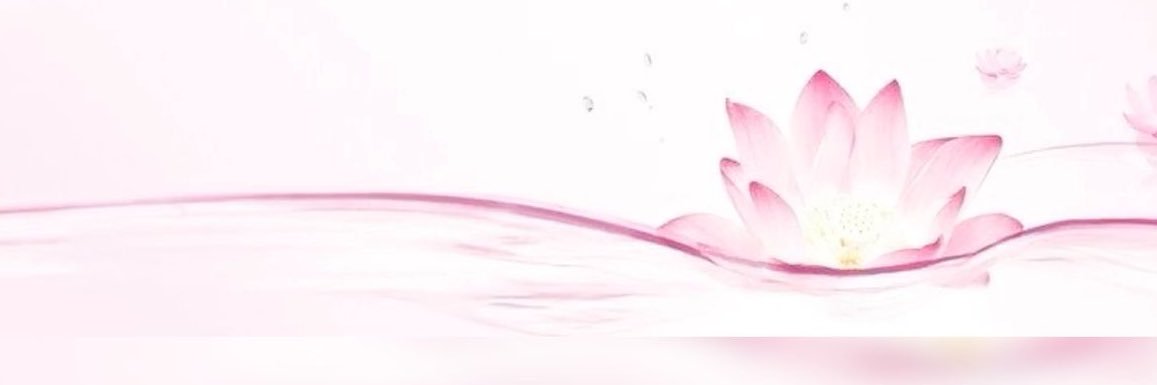 sylvie ⋆˙⟡ banner