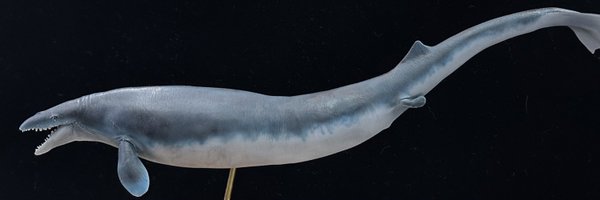 tm_front Profile Banner