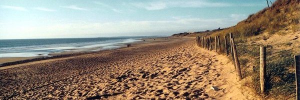 iledere Profile Banner