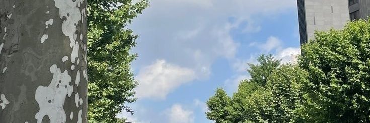 Hsalah60's profile banner image