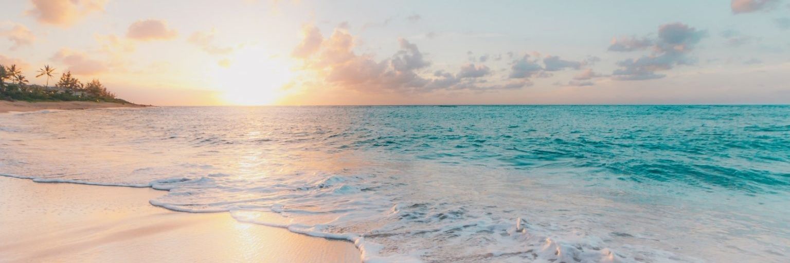 CaylaCho🍀🐥🏘✨️ banner