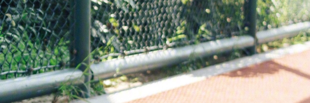 Disire banner