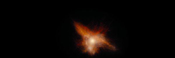 kittydisks Profile Banner