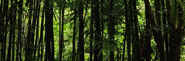 MariaGMart11 Profile Banner