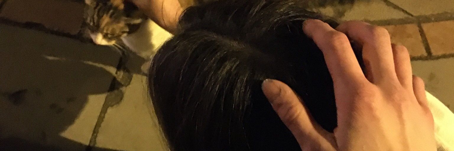 free_shxhs's profile banner image