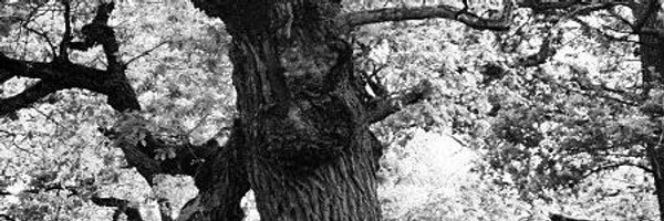 Isaksson_Peter Profile Banner