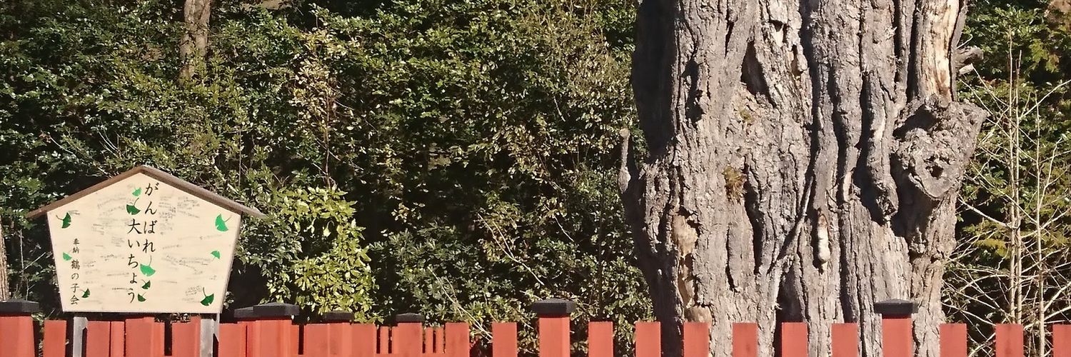 のり🎸\横浜優勝/⚾ banner