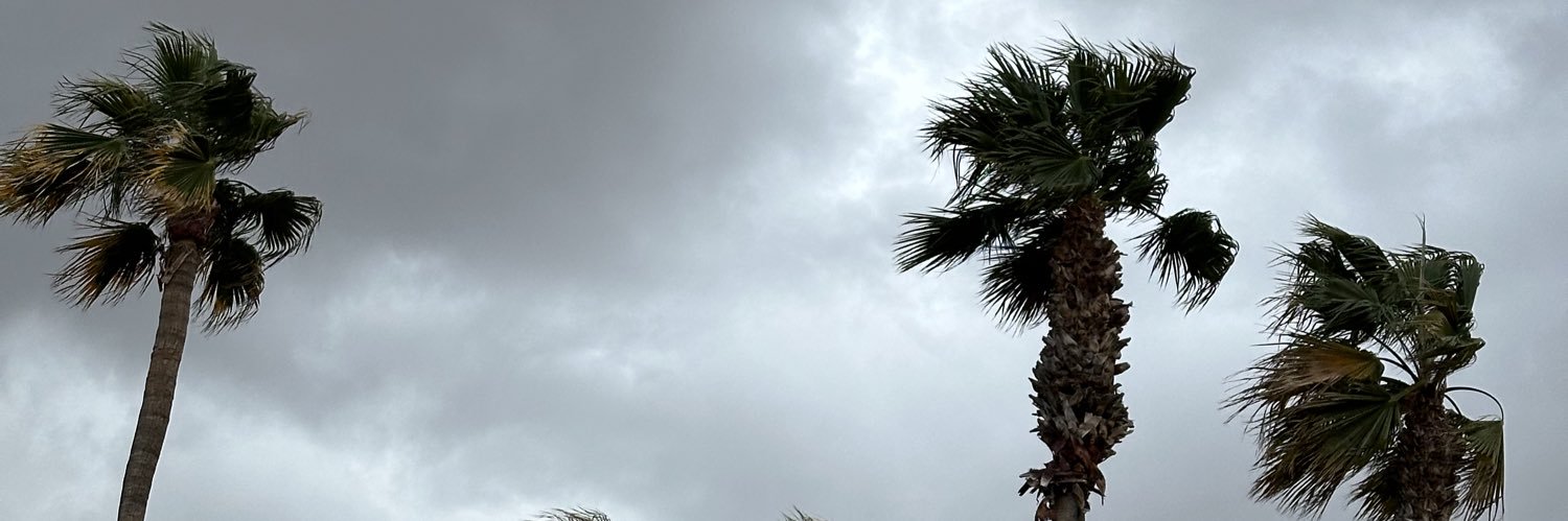 rimiereb's profile banner image