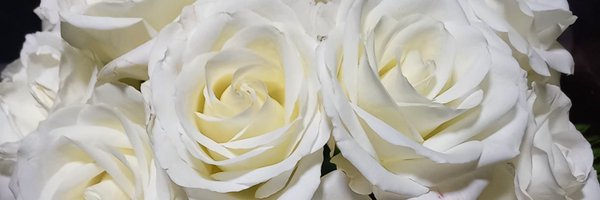 bcsarmiento Profile Banner