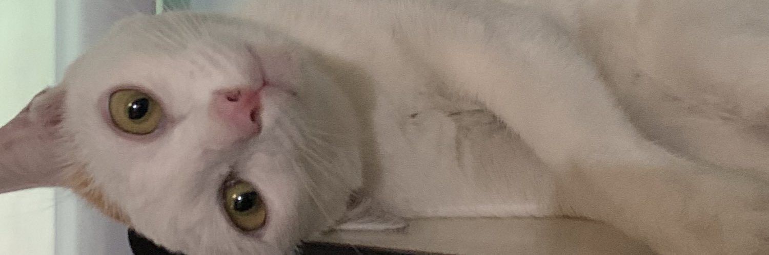 Bonzaip_'s profile banner image