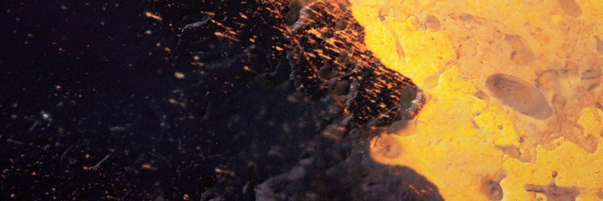 sigardner's profile banner image