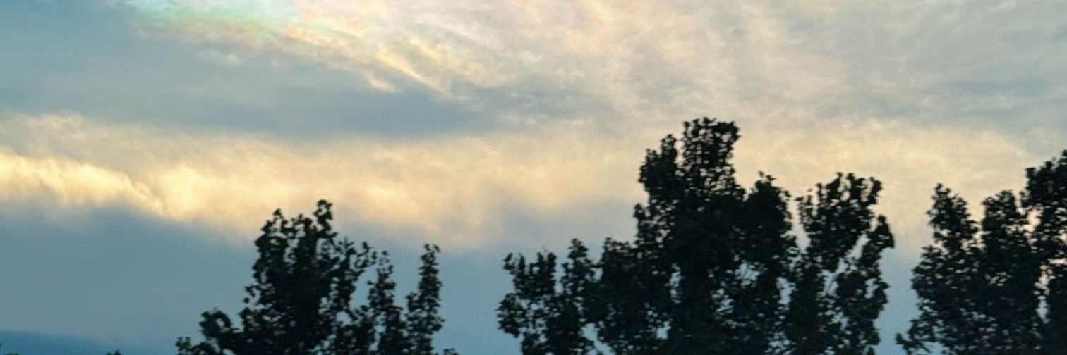 张凌赫 Zhang Linghe banner