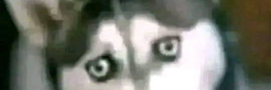 redmidget97's profile banner image