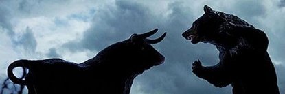 一只大肥猫 banner