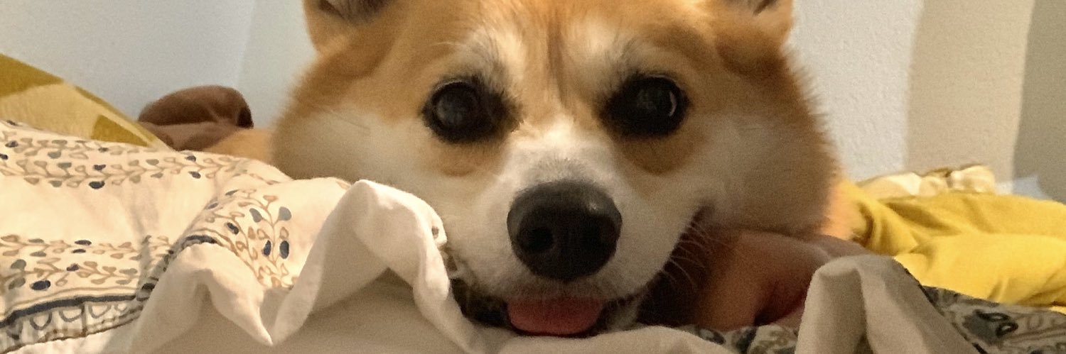 obscuremi's profile banner image