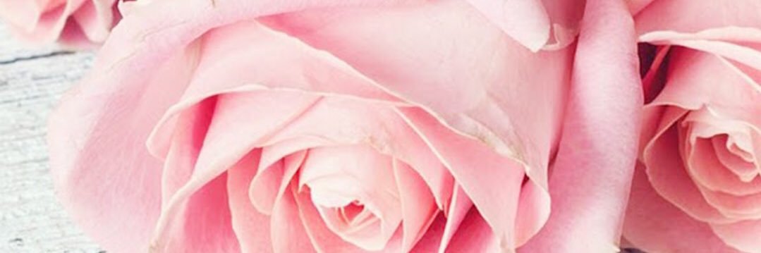 true4343's profile banner image