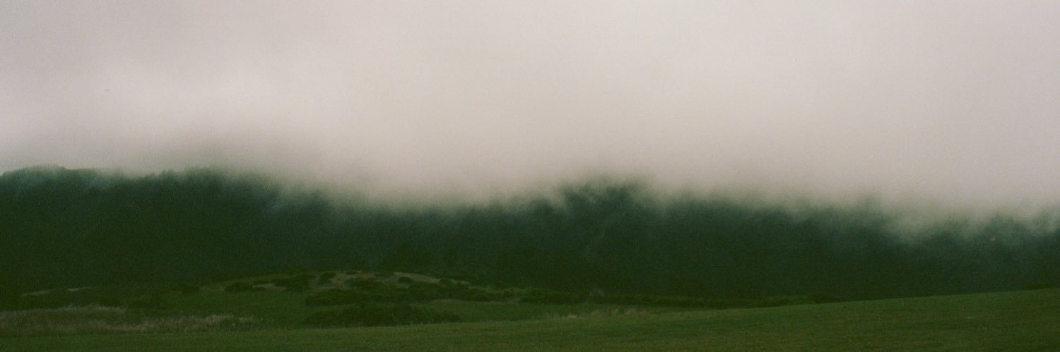 amanda banner