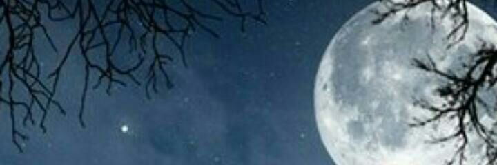Patry4th's profile banner image