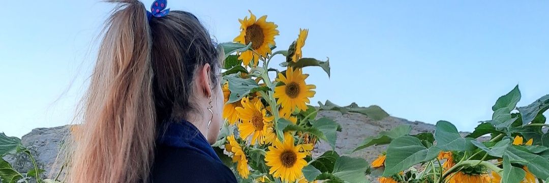 𝐿𝑖𝑡𝑡𝑙𝑒 𝐶𝑎𝑡's banner