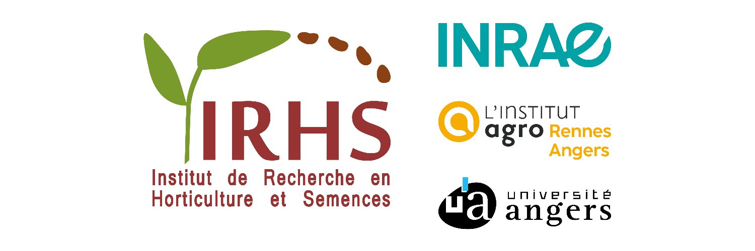 IRHS Angers banner
