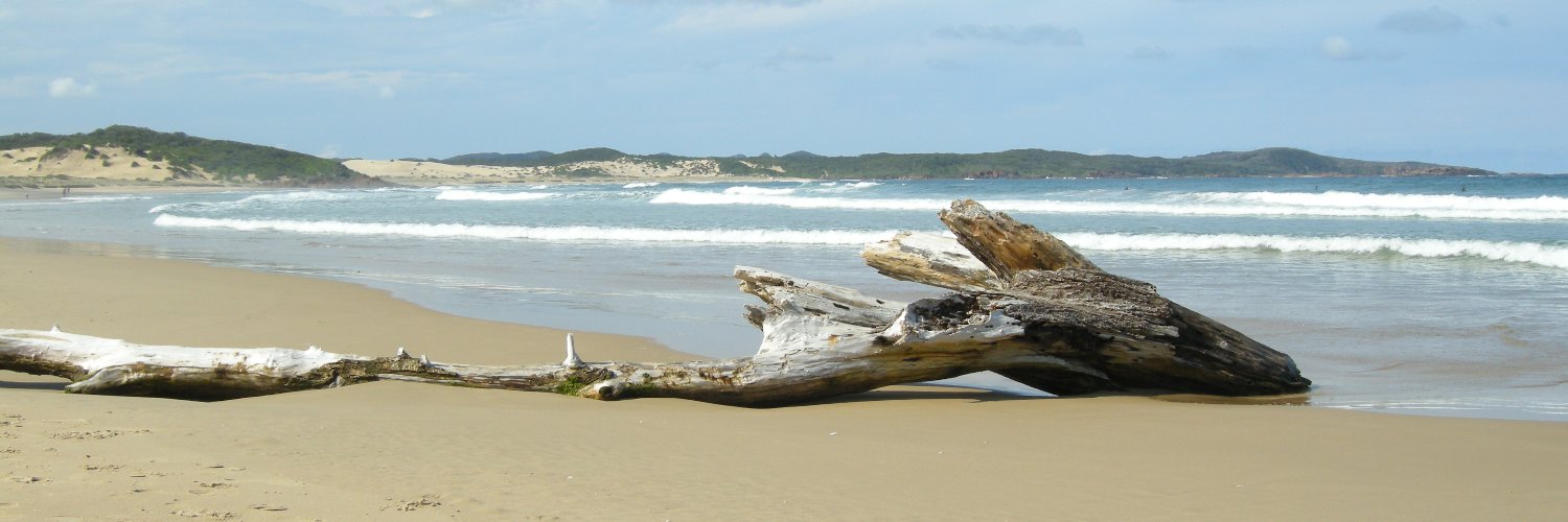 Sander 🇳🇱 banner