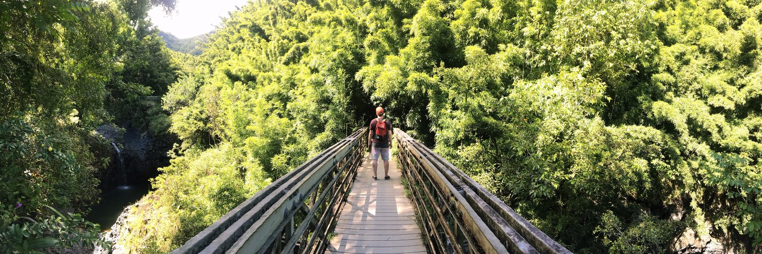 Sean Hallaren banner