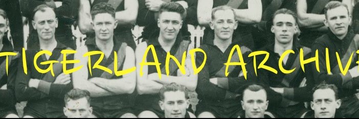 tigerland's profile banner image