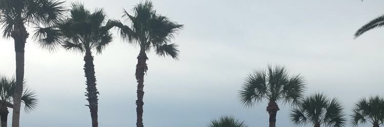 Emmaroser5's profile banner image