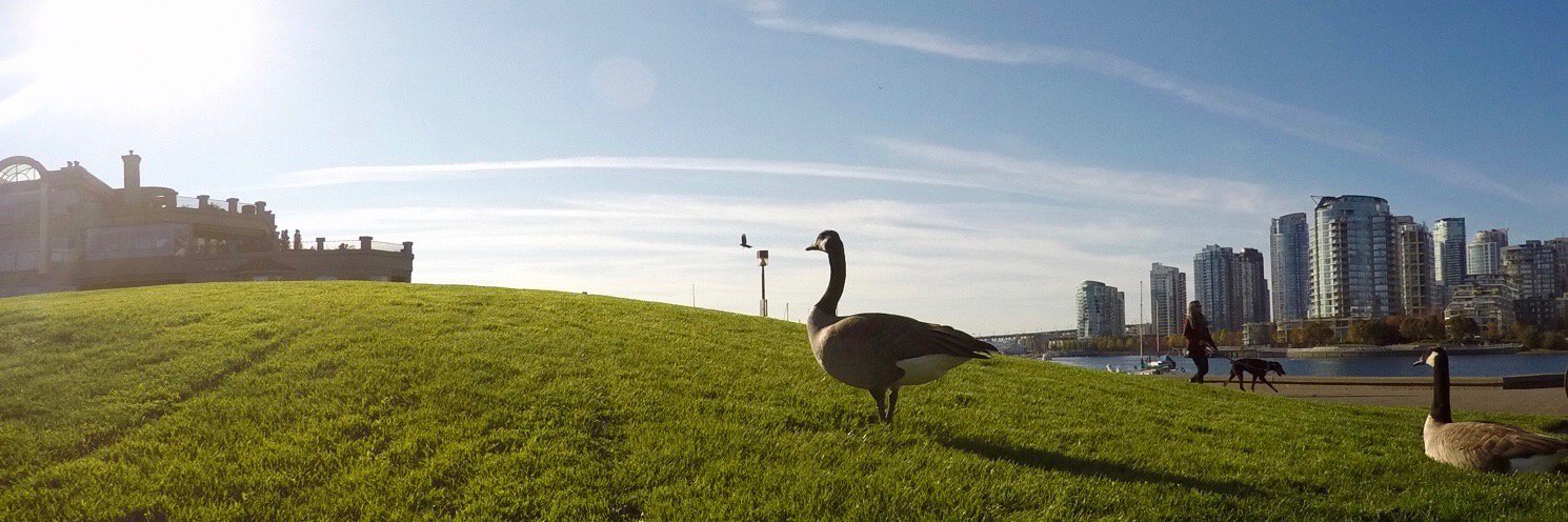 Arnaud Mamias banner