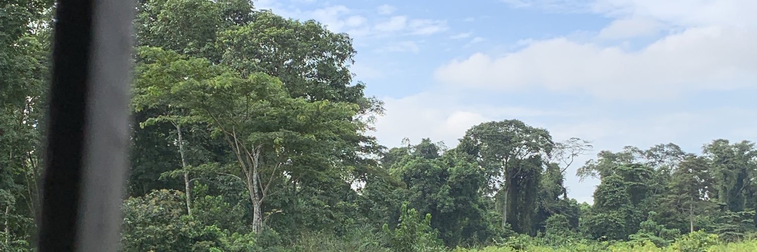 lunalieena's profile banner image
