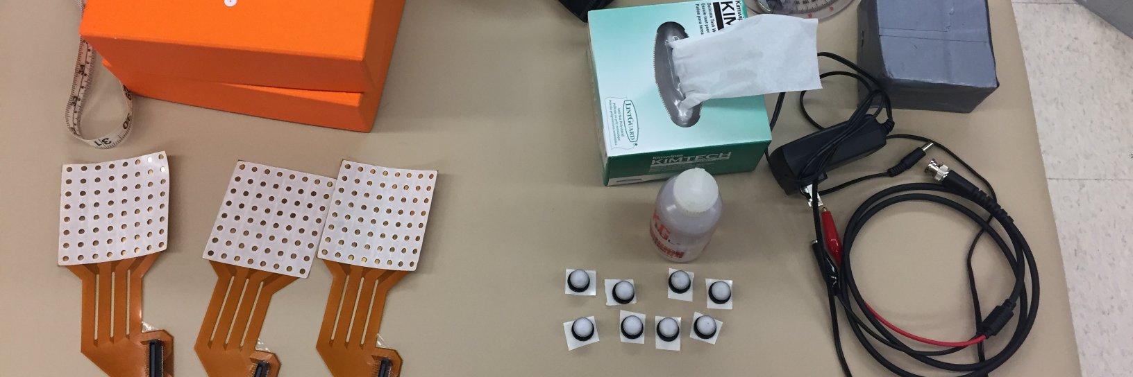 Dr. Tea Lulic-Kuryllo 🧠👩🏼‍🔬 banner