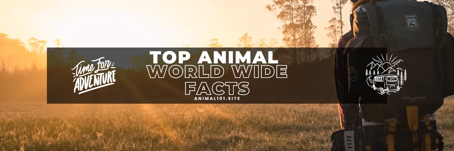 Top Animal World Wide Facts banner
