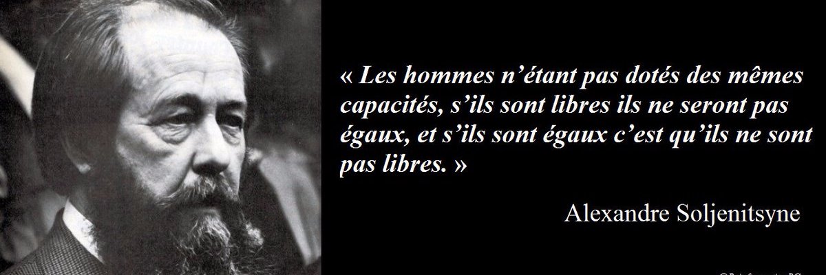De L'Essart's banner