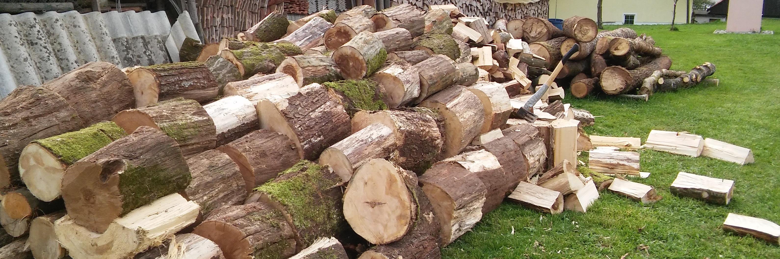 Janko Metelko banner