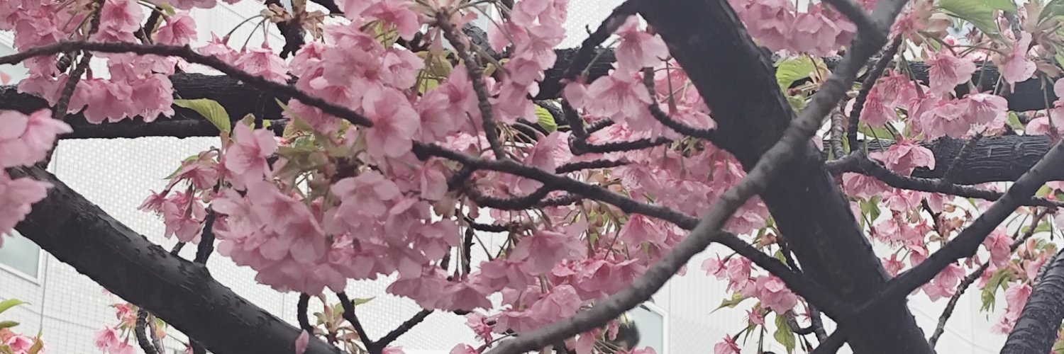 1950306n's profile banner image